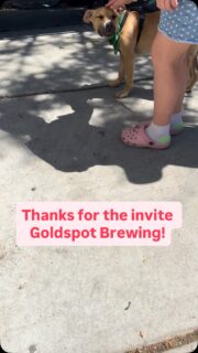 Spending the day with @goldspotbrewing with out adoptable pups! Swing by @brewability and say hi!